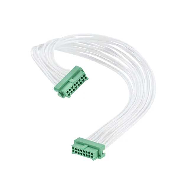 G125-FC31605L0-0300F