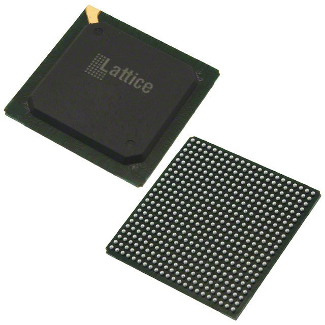 e66abe2507.jpg