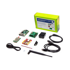 110060622 (Шлюз Lowa Loreon - 868 МГц)