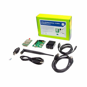 110060623 (ШЛЮЗ LORA/LORAWAN — 915 МГц FO)