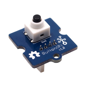 111020000 (КНОПКА РОЩА)