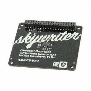 PIM058 (Шляпа SKYWRITER (ИНДИВИДУАЛЬНАЯ))