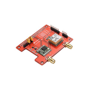 113990254 (КЕПКА RASPBERRY PI LORA/GPS - ПОДДЕРЖКА)
