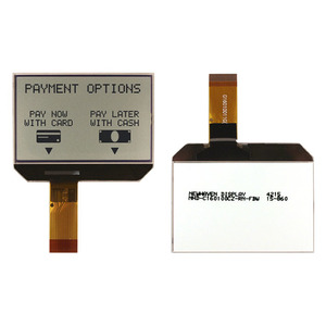 NHD-C160100CZ-RN-FBW (LCD COG GRAPH 160X100 NO REFL)