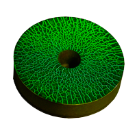 Сравнительные образцы и тест-образцы HELLING