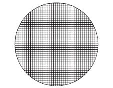 Диаметр 21 мм, квадраты 0,5 мм, сетка окуляра микроскопа