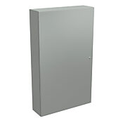 Корпус: 60 x 36 x 10 дюймов, настенное крепление, углеродистая сталь (PN# N412603610CLG)