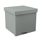 Корпус: 6 x 6 x 6 дюймов, настенное крепление, углеродистая сталь (PN# RSC060606NK)