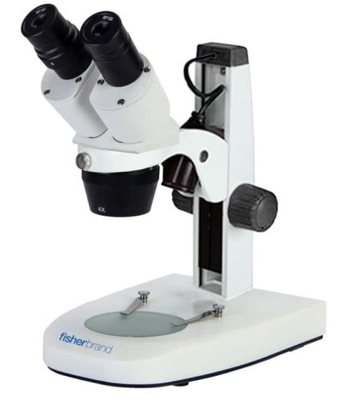 Стереомикроскоп Fisherbrand Basic с фиксированным увеличением:Микроскопы:Стерео | Фишер Сайентифик