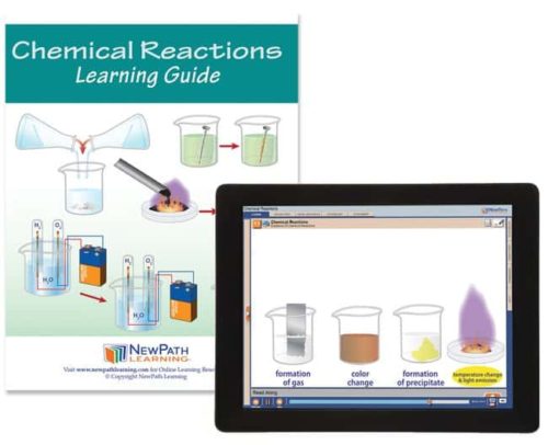 NewPath Learning Chemical Reactions Student Learning Guide with Online | Фишер Сайентифик