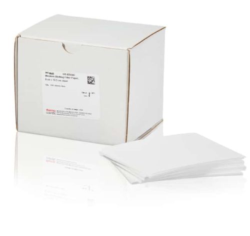 Бумажные фильтры для вестерн-блоттинга Thermo Scientific™, толщина 0,83 мм, 8 x 10,5 см