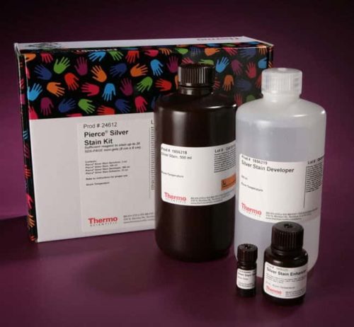 Набор Thermo Scientific Pierce Silver Stain Kit, набор 1 л: гель-электрофорез | Фишер Сайентифик