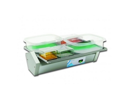 Benchmark Scientific BenchBlotter BR1000 *НОВИНКА* Платформа-качалка