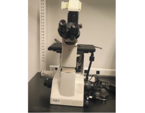 Инвертированный микроскоп Nikon TE200