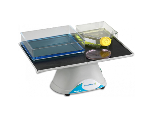 Benchmark Scientific BlotBoy B3D1308 *НОВИНКА* Платформа-качалка
