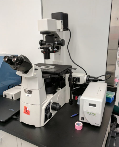 Инвертированный исследовательский фазово-контрастный микроскоп Nikon Eclipse Ti-S/L100