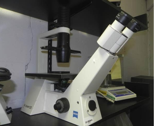 Инвертно-фазовый контрастный микроскоп Zeiss Axiovert 25