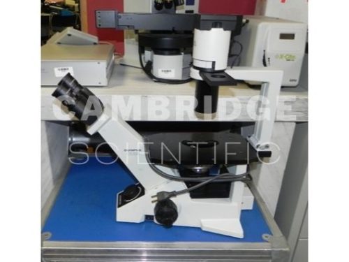 Инвертированный фазово-контрастный микроскоп Olympus CKX31