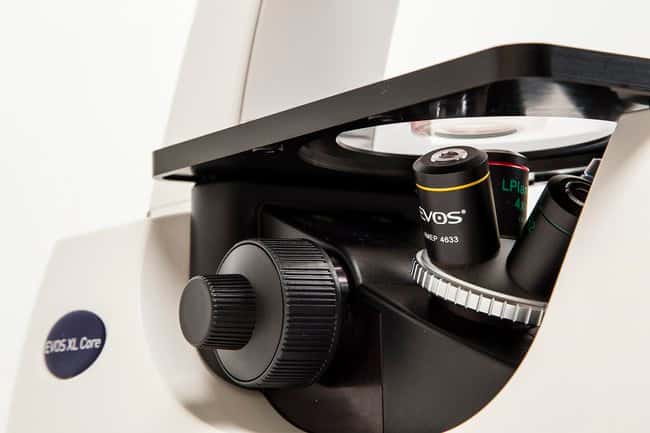 Invitrogen™ EVOS™ XL Core Сконфигурированный сканер клеток