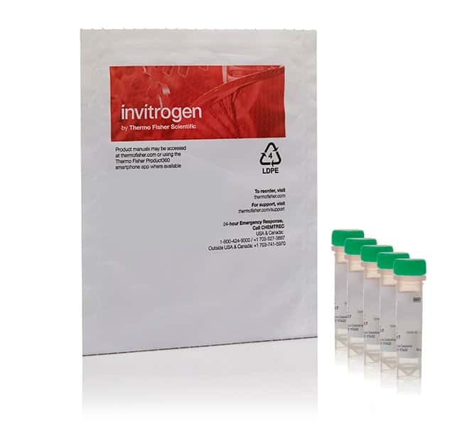 Invitrogen™ CellROX™ Green Reagent для обнаружения окислительного стресса