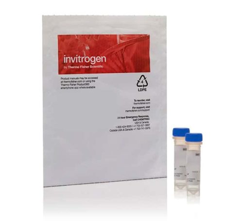 Микросферы Invitrogen™ FocalCheck™, 6 мкм, флуоресцентное темно-красное кольцевое пятно/зеленое повсюду