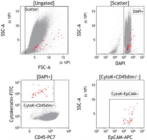 DURAClone RE CTC Tube, 15 тестов, RUO