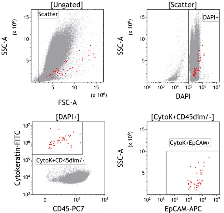 DURAClone RE CTC Tube, 15 тестов, RUO