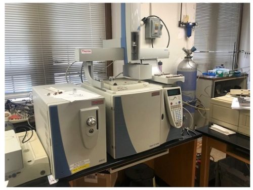 Thermo Scientific Trace GC Ultra Gas Chromatograph-DSQ II Mass Spectrometer GC/MS