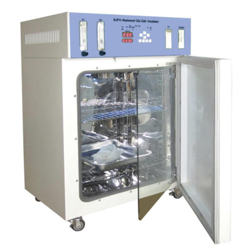 CO2 incubator 220V
