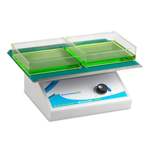 Everlast 2D rocker, adjustable 230V