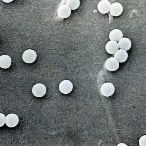 Polystyrene Latex, Size 0.312 Micron