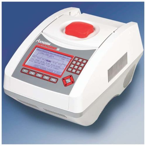 Термоциклер Axygen™ MaxyGene™ II