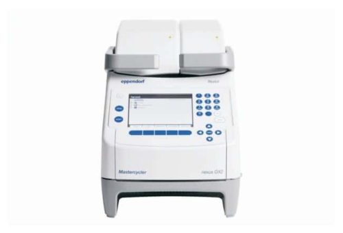 Термоциклеры Eppendorf Mastercycler Nexus X2:ПЦР Оборудование и расходные материалы:Термальный | Фишер Сайентифик