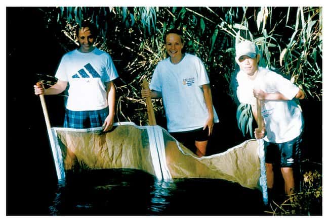 LaMotte Kick-Net Kick-net с шестами:Образовательные принадлежности, Количество: Каждый | Фишер Сайентифик