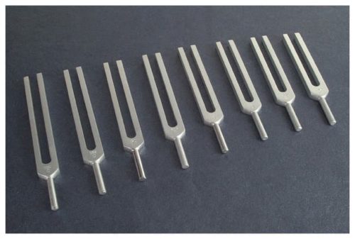 Eisco Tuning Fork Octave Set Octave Set:Образовательные принадлежности, Количество: Пакет | Фишер Сайентифик