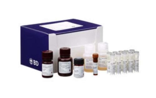 Набор BD APC BrdU Flow, 50 тестов 50 тестов: продукты для клеточного анализа, количество: | Фишер Сайентифик
