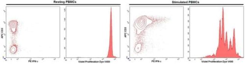 Буфер для предварительной сортировки BD FACS™, 250 мл