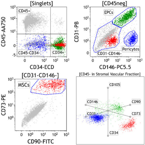 DURAClone SC Mesenchymal Tube, 25 Tests, RUO