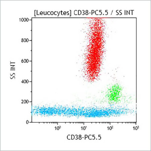 CD38-PC5.5, LS198-4-3, 0.5 mL, ASR