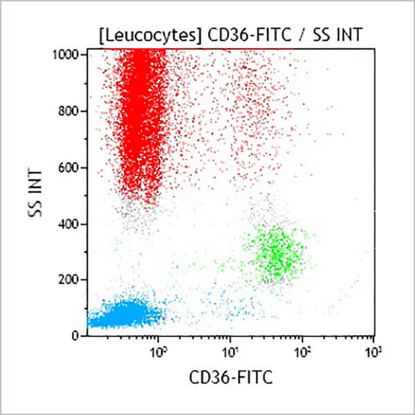 CD36-FITC, FA6.152, 2 мл, ASR