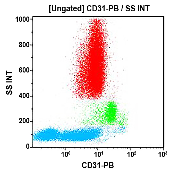 CD31-PB, 5.6E, 0,5 мл, ASR