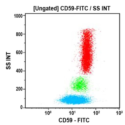 CD59-FITC, P282E, 2 мл, ASR