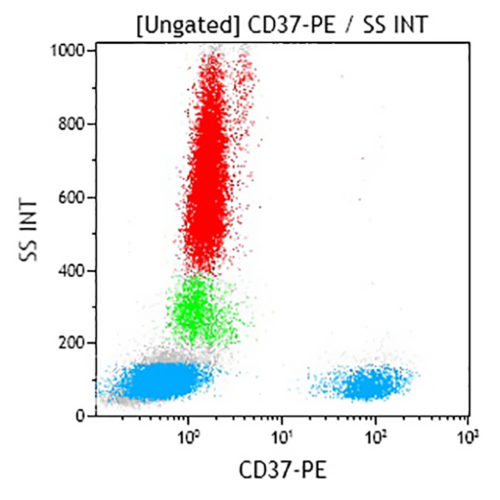 CD37-PE, BL14, 2 мл, ASR