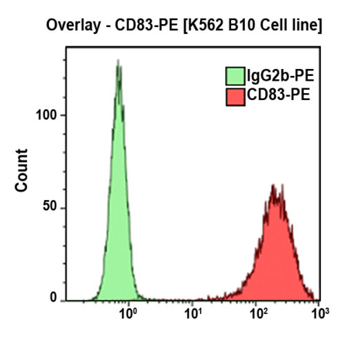 CD83-PE, HB15a, 2 мл, ASR