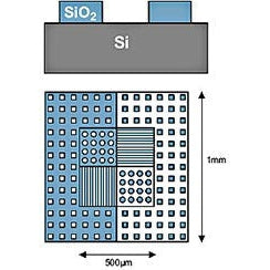AFM calibration standard, step height 20nm, mounted