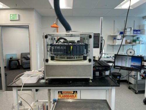 Thuramed Tetras Peptide Synthesizer