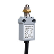 Концевой выключатель: металлический плунжер с фиксирующими гайками (PN# AEM2G21X11-3)