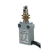 Концевой выключатель: металлический плунжер с металлическим поперечным роликом и крепежными гайками (PN# AEM2G2401Z11-3R)