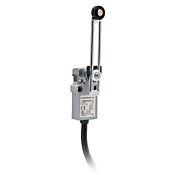 Концевой выключатель: боковой поворотный регулируемый рычаг с нейлоновым роликом 18 мм (номер по каталогу AEM2G51Z11-3)