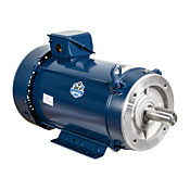 Двигатель переменного тока премиум-класса: универсальный и инверторный, 10 л.с. (PN# E2019B)